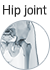 Hip joint