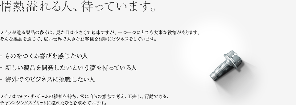 情熱溢れる人、待っています。メイラが造る製品の多くは、見た目は小さくて地味ですが、一つ一つにとても大事な役割があります。そんな製品を通じて、広い世界で大きなお客様を相手にビジネスをしています。